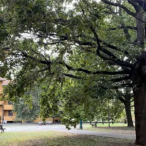 https://graces-house-milan-rho-fiera.it-lombardy.com